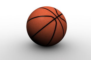 乐鱼电竞在线平台-决赛后双方球员握手致敬体现体育精神，篮球比赛双方握手